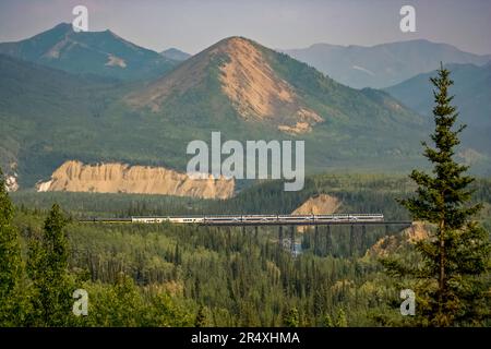 Ferrovia dell'Alaska su un ponte alto nel Denali National Park, Alaska, USA; Alaska, Stati Uniti d'America Foto Stock