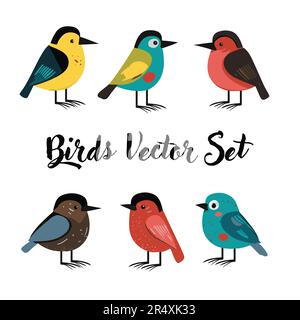 Set di uccelli estivi. Illustrazione vettoriale dei cartoni animati in stile infantile. Uccelli diversi su sfondo bianco Illustrazione Vettoriale