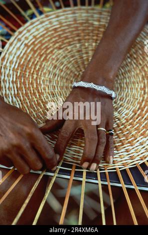 Primo piano delle mani di una donna che prepara un cesto; Carib Territorial Reserve, Commonwealth of Dominica Foto Stock