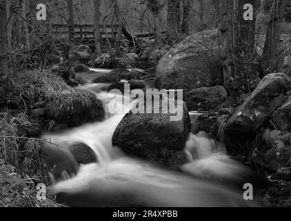 Barr Brook, Derbyshire Peak District con acqua bianca che si getta sulle rocce e massi Foto Stock
