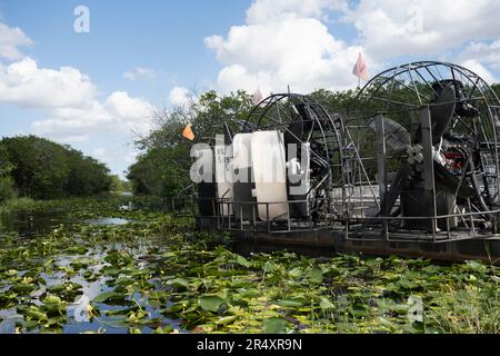 Everglades, Florida, Stati Uniti. 8th maggio, 2023. Everglades Airboat Tours gestito da Gator Park.Everglades National Park è una meraviglia naturale accattivante in Florida, Stati Uniti. Con una superficie di oltre 1,5 milioni di ettari, ospita diversi ecosistemi, tra cui paludi, mangrovie e praterie di sawgrass. I visitatori possono esplorare la sua fauna selvatica unica, come alligatori, uccelli acquatici e lamantini, attraverso escursioni a piedi, kayak, o facendo visite guidate, immergendosi nella sua bellezza mozzafiato. Ecologia, specie invasive, cambiamento climatico, ambiente, ambientale, Crisi climatica, riscaldamento globale, verde, ESG, sw Foto Stock