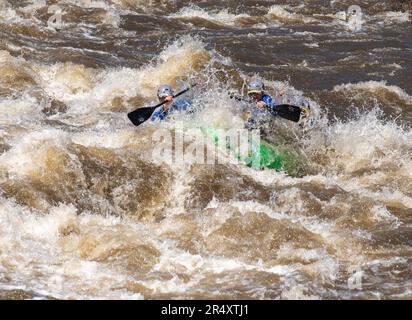 Foto davvero avventurosa di persone che prendono l'acqua ruvida del fiume Arkansas nella primavera del 2023 dopo un sacco di pioggia e neve sciolta fatto per alcuni Foto Stock
