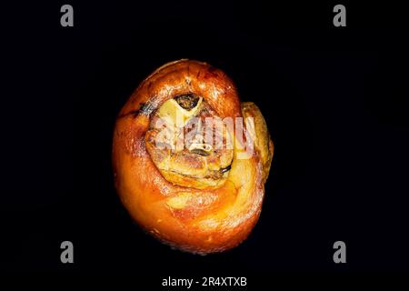 Gustoso nocino di maiale Foto Stock