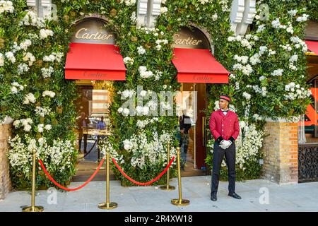 Mostre floreali presso i gioiellieri Cartier a Sloane Street, nella zona di Sloane Square, Londra SW1 a Chelsea, in una settimana di fioritura durante il Chelsea Flower Show Foto Stock