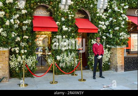 Mostre floreali presso i gioiellieri Cartier a Sloane Street, nella zona di Sloane Square, Londra SW1 a Chelsea, in una settimana di fioritura durante il Chelsea Flower Show Foto Stock