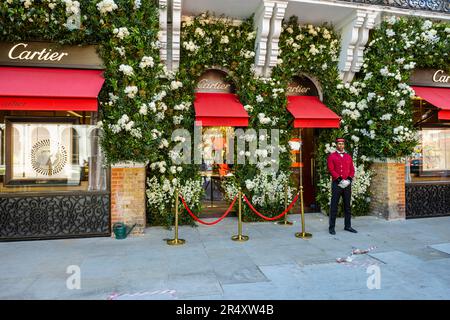 Mostre floreali presso i gioiellieri Cartier a Sloane Street, nella zona di Sloane Square, Londra SW1 a Chelsea, in una settimana di fioritura durante il Chelsea Flower Show Foto Stock