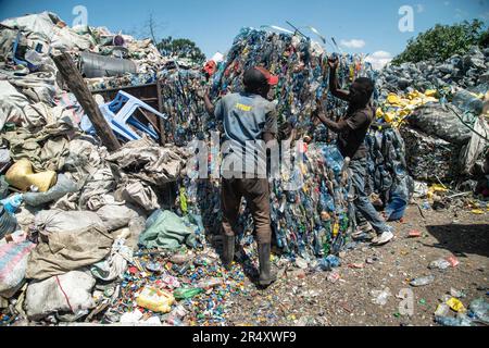 I lavoratori spostano una balla di bottiglie di plastica in un impianto di riciclaggio a Nakuru. I negoziatori si sono riuniti a Parigi, in Francia, per la seconda tornata di deliberazioni volte a sviluppare un trattato globale volto ad affrontare la crescente questione dell’inquinamento della plastica. Secondo un recente rapporto del programma delle Nazioni Unite per l'ambiente (UNEP), i paesi hanno il potenziale di ridurre l'inquinamento della plastica del 80% entro il 2040 eliminando le plastiche non necessarie, implementando strategie di riciclaggio e riutilizzo, introducendo sistemi di restituzione dei depositi e sostituendo la plastica con materiali alternativi sostenibili. Foto Stock