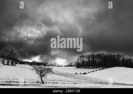 Paesaggio invernale, con alberi e colline ricoperte di neve, sotto un cielo nuvoloso e nuvoloso Foto Stock