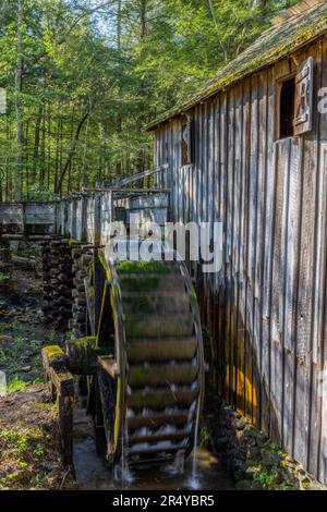 John P. Cable Grist Mill, Cades Cove, Great Smoky Mountains National Park, Tennessee Foto Stock