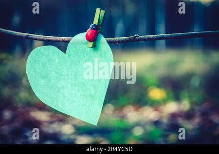 Concetto naturale per San Valentino o qualsiasi altra vacanza. Cuore verde di carta sullo sfondo della foresta. Foto con una profondità di campo bassa. Foto Stock