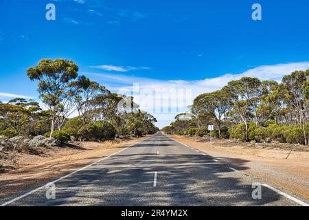 Strada diritta nell'entroterra australiano, tra Esperance e Norseman, Australia Occidentale Foto Stock