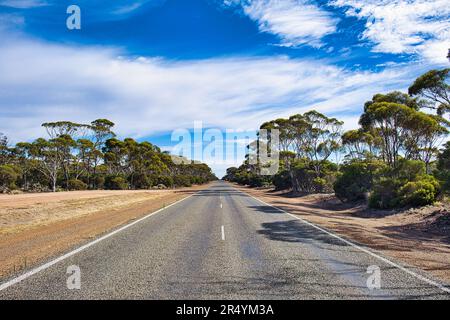 Strada diritta nell'entroterra australiano, tra Esperance e Norseman, Australia Occidentale Foto Stock