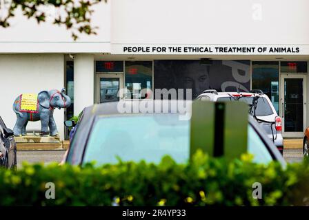 Norfolk, Virginia, USA - 30 maggio 2023: Ingresso alla sede centrale della PETA (The People for the Ethical Treatment of Animal). Foto Stock