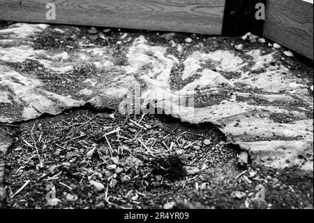 Buco nel paesaggio erbacce barriera plastica a terra. Foto Stock