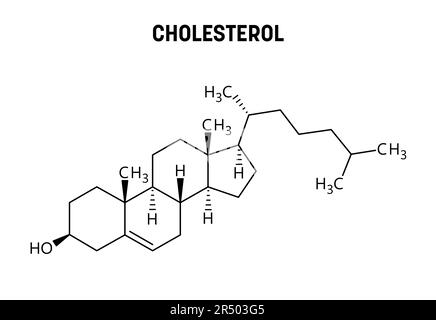 Struttura molecolare del colesterolo. Il colesterolo è un componente strutturale lipidico ed essenziale delle membrane cellulari animali. Formula strutturale vettoriale del composto chimico. Illustrazione Vettoriale