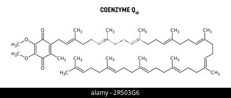 Struttura molecolare del coenzima Q10. Il coenzima Q10, ubiquinone o CoQ10, è un composto organico simile a una vitamina importante per la salute cardiovascolare, cerebrale e dentale, la fertilità, la perfromance fisica. Formula strutturale vettoriale del composto chimico. Illustrazione Vettoriale