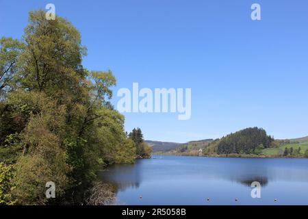 Lake Vyrnwy RSPB Riserva, Powys, Wales, Regno Unito Foto Stock