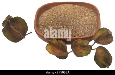 Frutta ayurvedica arjun con polvere macinata in ciotola Foto Stock