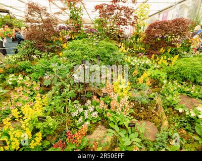 Mostre di giardini all'interno del padiglione al Chelsea Flower Show 23 Foto Stock