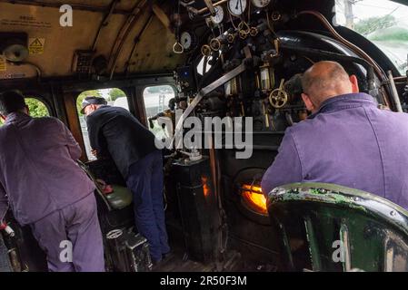 Leigh on Sea, Essex, Regno Unito. 31 maggio 2023. Uno speciale treno a vapore è diretto da Shoeburyness nell'Essex al porto di Portsmouth per dare ai suoi passeggeri la possibilità di visitare la storica città portuale marittima. Il treno è gestito dalla Steam Dreams e trainato dalla LNER Thompson classe B1 numero 61306 chiamato Mayflower, che risplende in una livrea Apple Green. La locomotiva costruita nel 1948 si trova qui alla stazione di Leigh on Sea Foto Stock