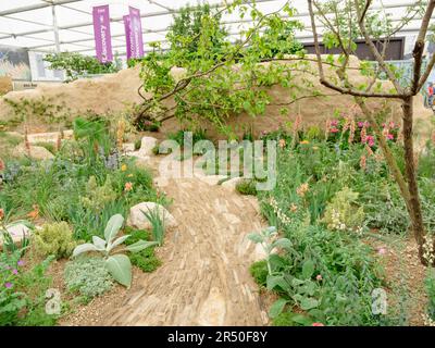 Mostre di giardini all'interno del padiglione al Chelsea Flower Show 23 Foto Stock