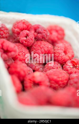 Lamponi freschi in una cassa di carta (primo piano) Foto Stock
