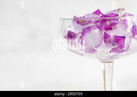 Vetro con cubetti di ghiaccio viola con fiori di ortensia Foto Stock