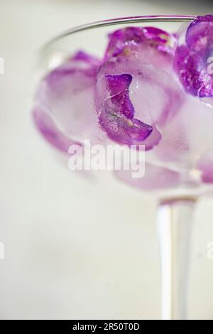 Vetro con cubetti di ghiaccio viola con fiori di ortensia Foto Stock