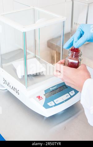 Controlli di qualità in laboratorio e test dello zafferano presso Maison du Safran, Taliouine, Marocco Foto Stock
