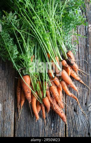 Carote con verdure, appena raccolte Foto Stock