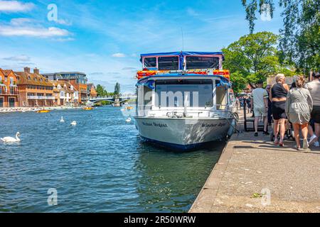 Una vista del fiume Tamigi in Windsor. Un paio di grandi tour barche sono ormeggiate in alto e ci sono un sacco di cigni e oche circa. Foto Stock