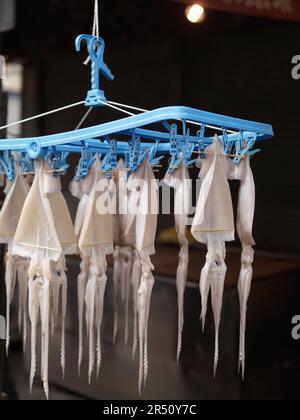 I polpi appesi ad asciugare al mercato del pesce di Tsukiji a Tokyo, Giappone Foto Stock