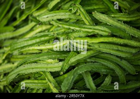 Fagioli di Goa (fagioli alati) Foto Stock