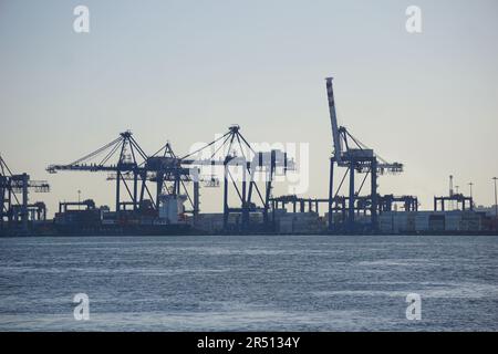 Navi e gru del canale di Suez nella città di Portsaid Foto Stock