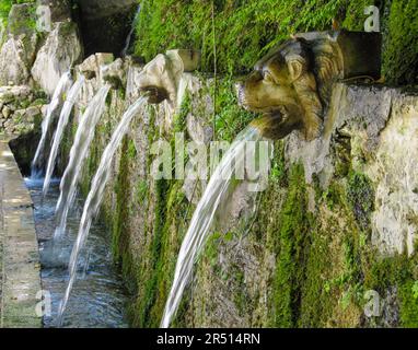 Tradizionali fontane in pietra nel vecchio villaggio di Menites, nell'isola di Andros, Grecia, scolpite come teste di leone. Foto Stock