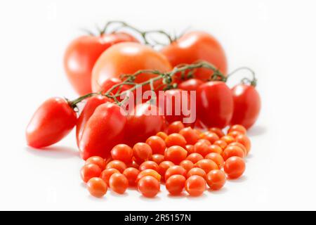 Diversi tipi di pomodori su uno sfondo di colore chiaro Foto Stock