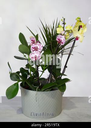 arte floreale, cesto di fiori, fiorista / arte floreale, cesta de flores, floristería Foto Stock