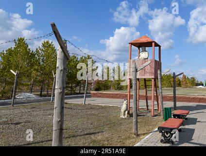 Astana, Kazakistan. 24th Apr, 2023. ALZhIR, il campo di Akmolinsk, campo di lavoro di Gulag delle mogli dei traditori nella Patria ad Astana, Kazakistan, 24 aprile 2023. Nella figura è illustrata l'installazione della torre di controllo Gulag con protezione e cane. Credit: Mikolaskova Lucie/CTK Photo/Alamy Live News Foto Stock