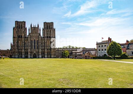 Splendida cattedrale di Wells, Wells, Somerset Foto Stock