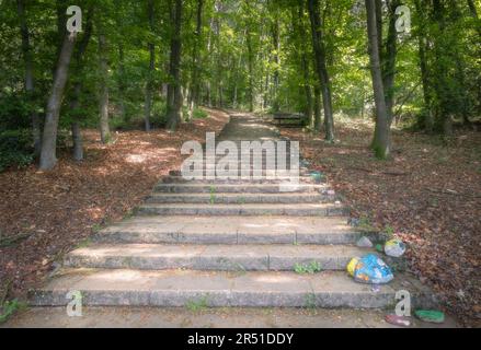 Inizio del percorso escursionistico 'teutoschleife waldauenweg' con una scala chiamata 'himmelsleiter', che porta al punto di osservazione 'Schöne Aussicht' Foto Stock