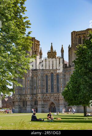 Splendida cattedrale di Wells, Wells, Somerset Foto Stock