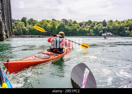 Kayak sullo stretto di Menai, Galles, Regno Unito Foto Stock