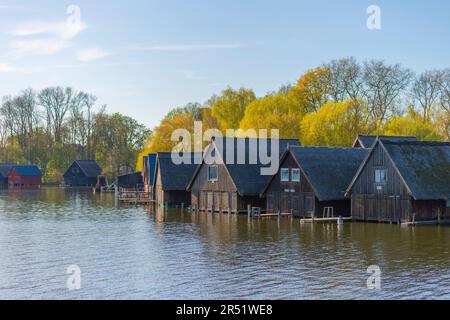 Tradizionali capanne di pescatori dal tetto di paglia sul fiume Mueritz, paese Roebel, Mecklenbrug Lake District, Mecklenburg-West-Pomerania, Germania orientale Foto Stock