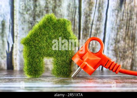 Spina e miniatura verde eco casa icona con erba su sfondo di legno. Concetto di energia rinnovabile. Foto Stock