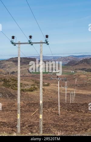 Linea di distribuzione dell'elettricità a media tensione e poli che trasportano energia in aree remote nelle Highlands nord-occidentali della Scozia. Foto Stock