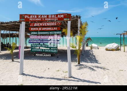 Cartelli in legno della spiaggia a Playa Kan Balam, Celestun, Yucatan, Messico Foto Stock
