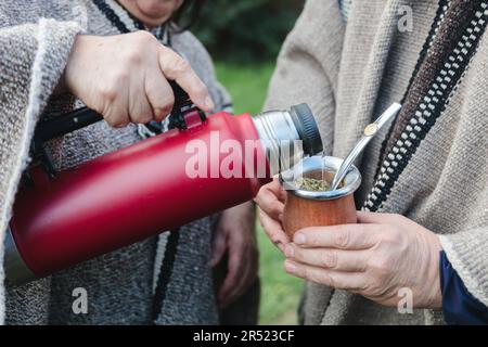 Persone tagliate in abiti caldi in piedi vicino a cespugli verdi e versare la bevanda calda dai thermos in tazza, mentre si passa il tempo insieme Foto Stock