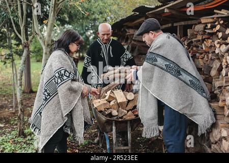 Seri contadini anziani maschi e femmine a Mapuche abiti raccogliere mucchio di tronchi di legno nel carrello, mentre lavorando insieme in fattoria a Temuco Foto Stock