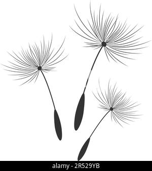 Dente di leone fiori con semi che volano via nel vento. Illustrazione Vettoriale