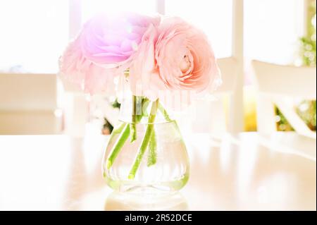 Piccolo vaso su tavolo con tenui fiori di ranuncolo rosa alla luce del sole Foto Stock